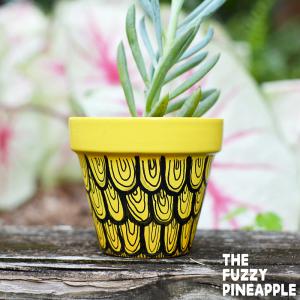 Pineapple Swirl Doodle Pot Set