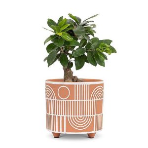 Terracotta Abstract Planter